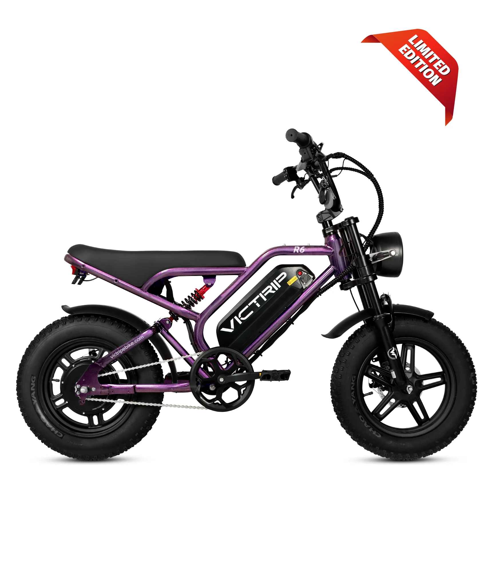 VICTRIP®R6 Off Road Ebike - Image 23