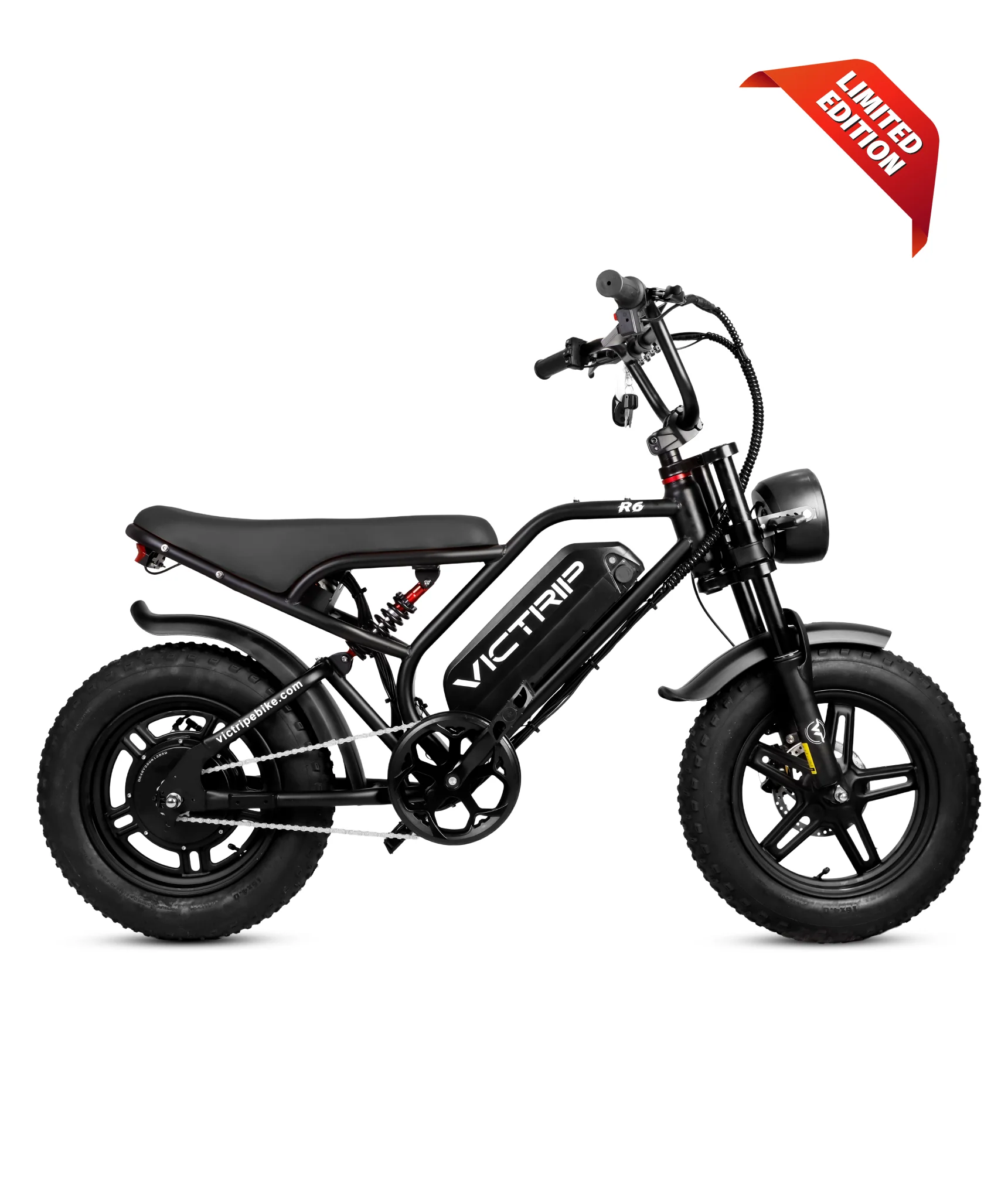 VICTRIP®R6 Off Road Ebike - Image 22